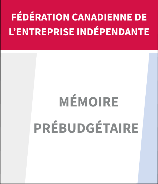 Icône avec le texte FCEI et Mémoire prébudgétaire affichés sur l’image