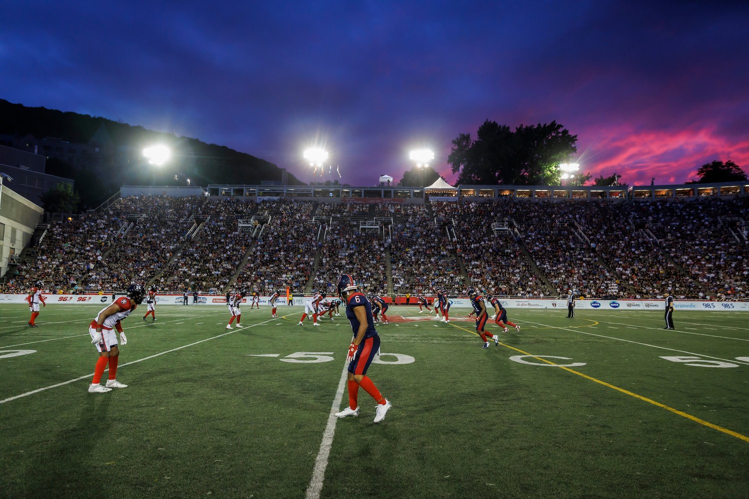 05.26_alouettes_june21juin_1204
