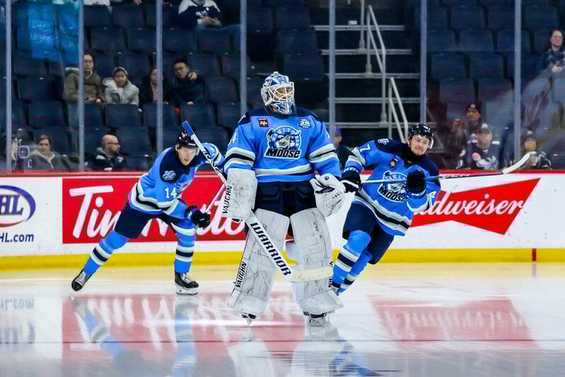 Players from the Manitoba Moose team