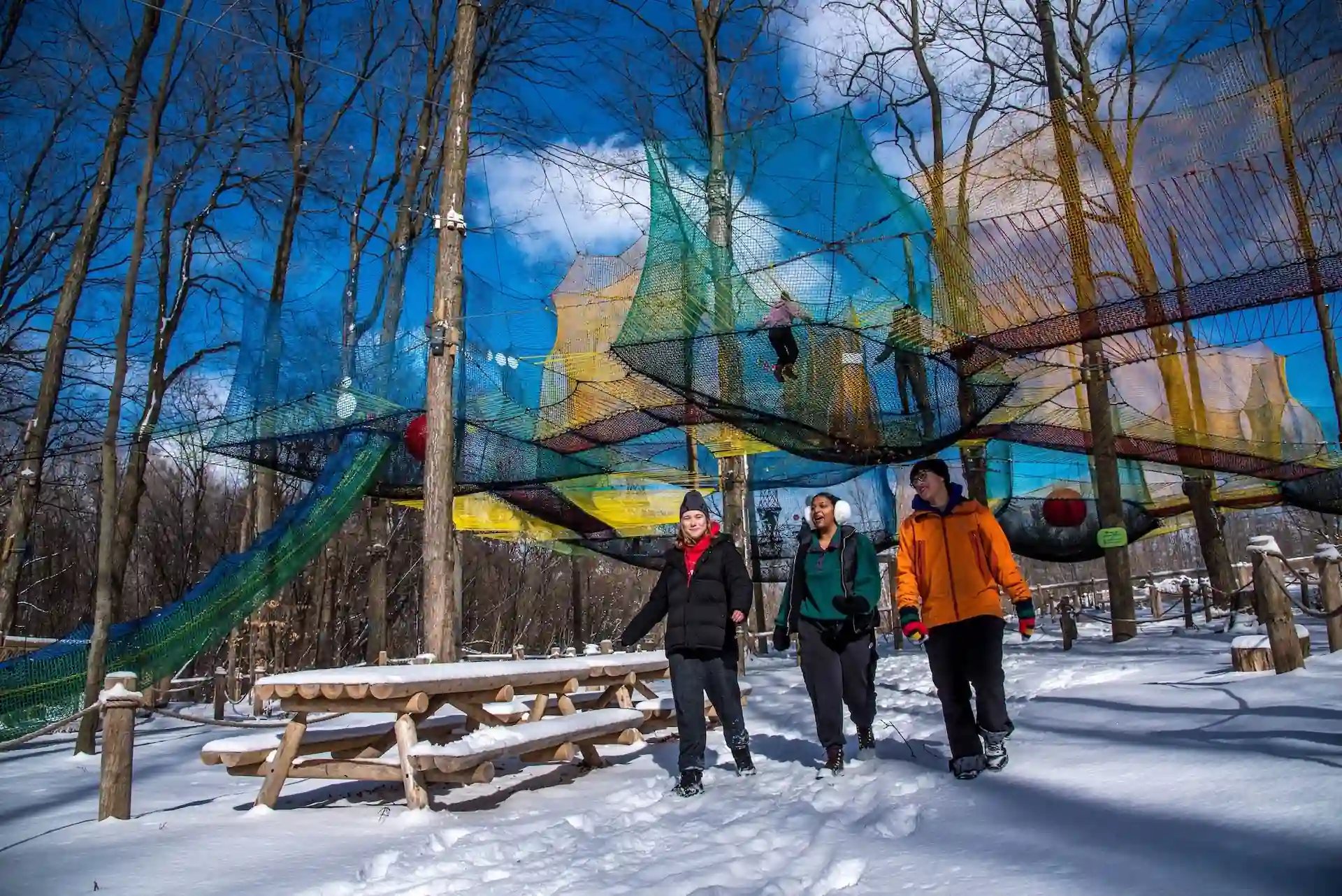 Upla by Treetop Trekking in Stouffville during winter time