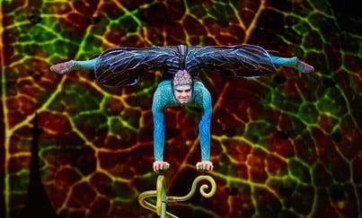 Cirque du Soleil dragonfly performer
