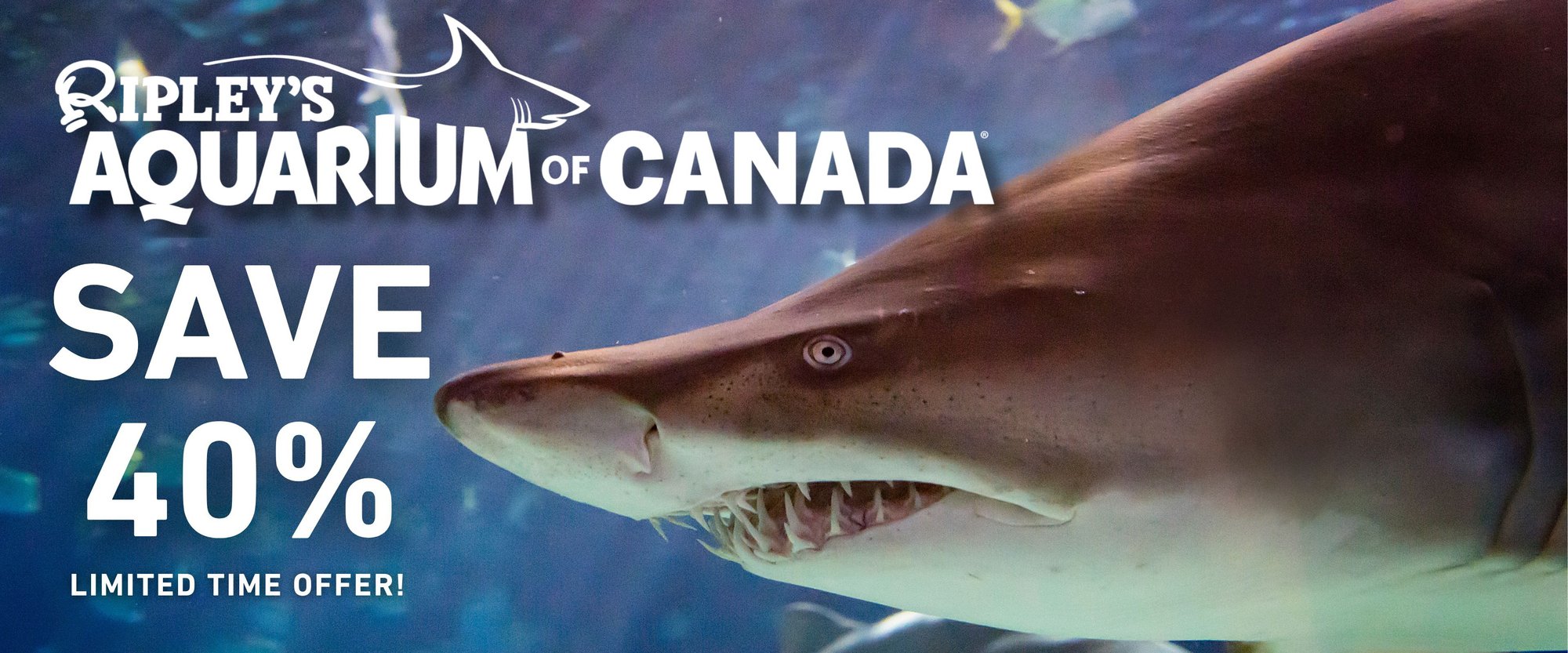 Save 40% Limited Time Offer Save 40% Limited Time Offer