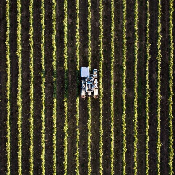 A small business owner on a tractor plowing the field at his/her farm