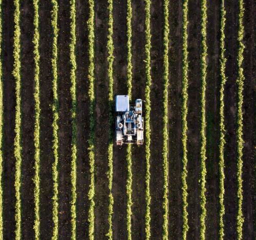 Propriétaire d'une petite entreprise sur un tracteur labourant le champ