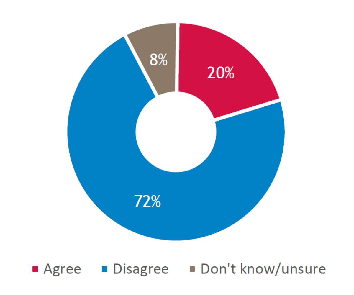 Doughnut chart showing that 20% of small businesses agree, 72% disagree, 8% don't know or unsure