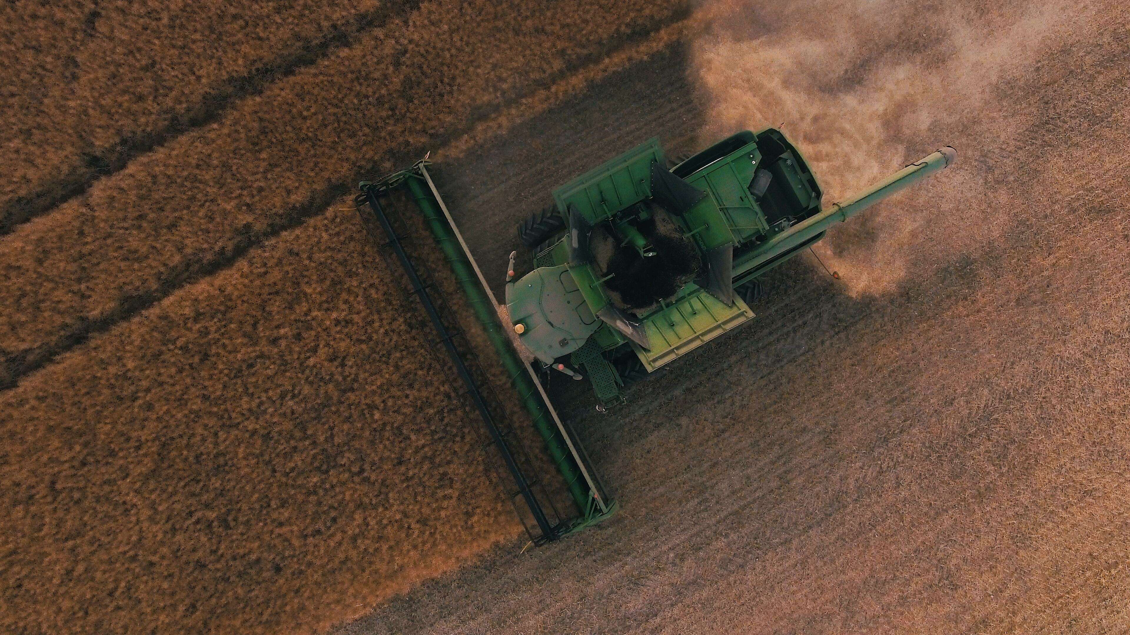 Chronic labour shortages in agriculture are putting Canada's food security at risk - Vimarsana News
