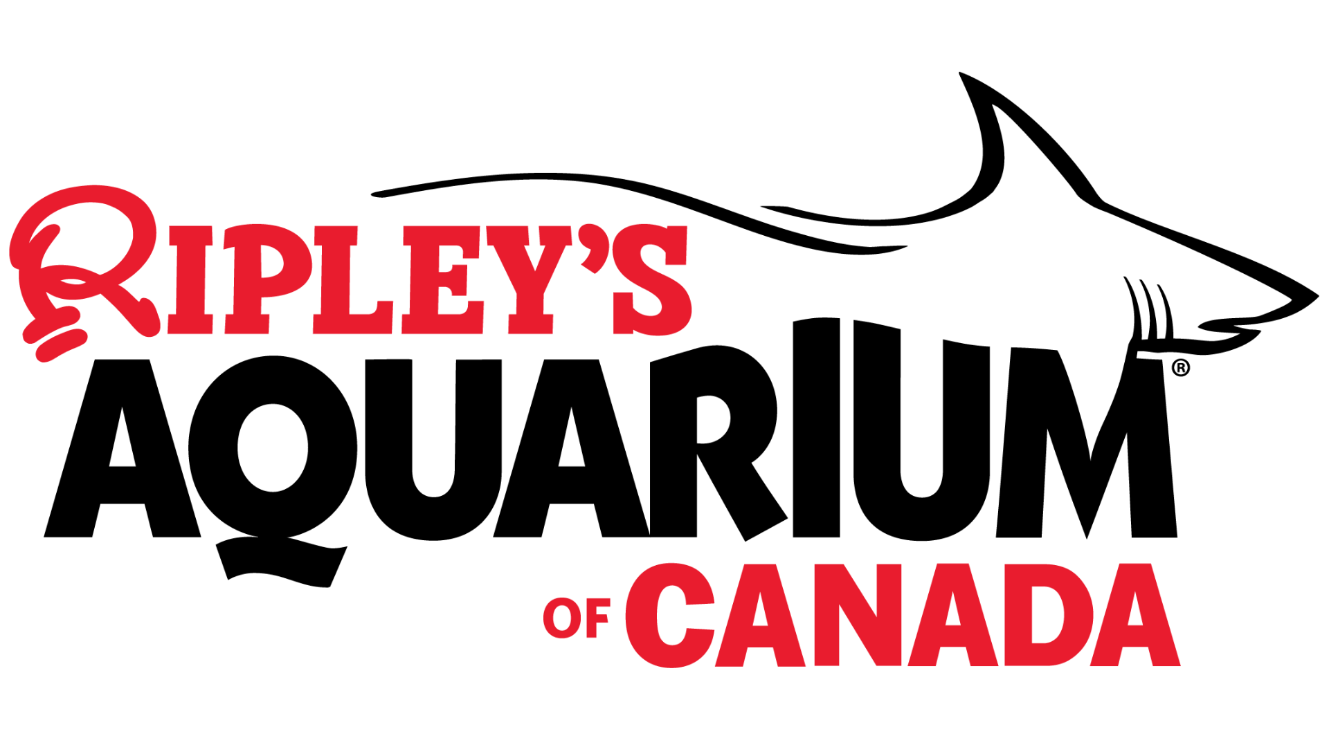 Aquarium Ripley
