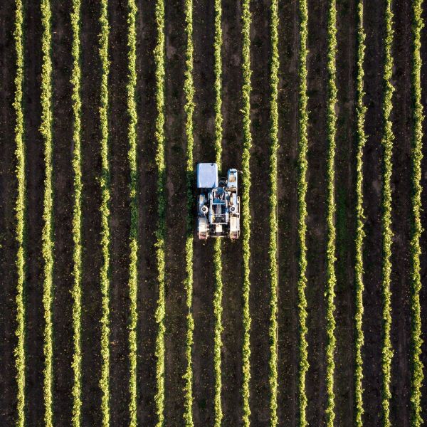 Small business owner on a tractor plowing the field