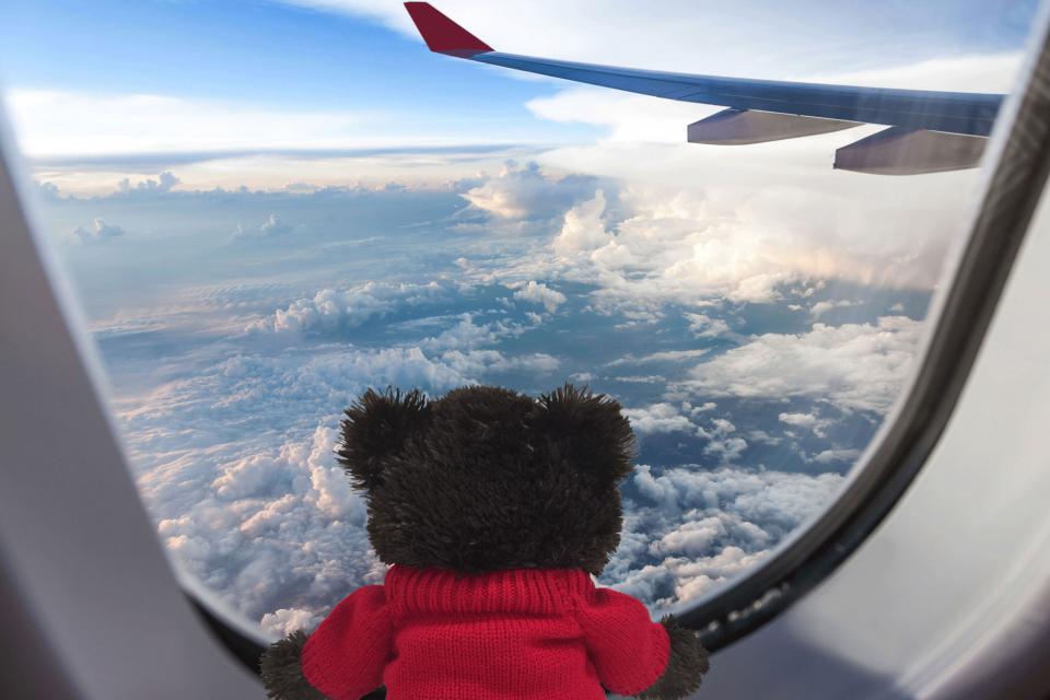 Bravo Bear looking at clouds through an airplane window