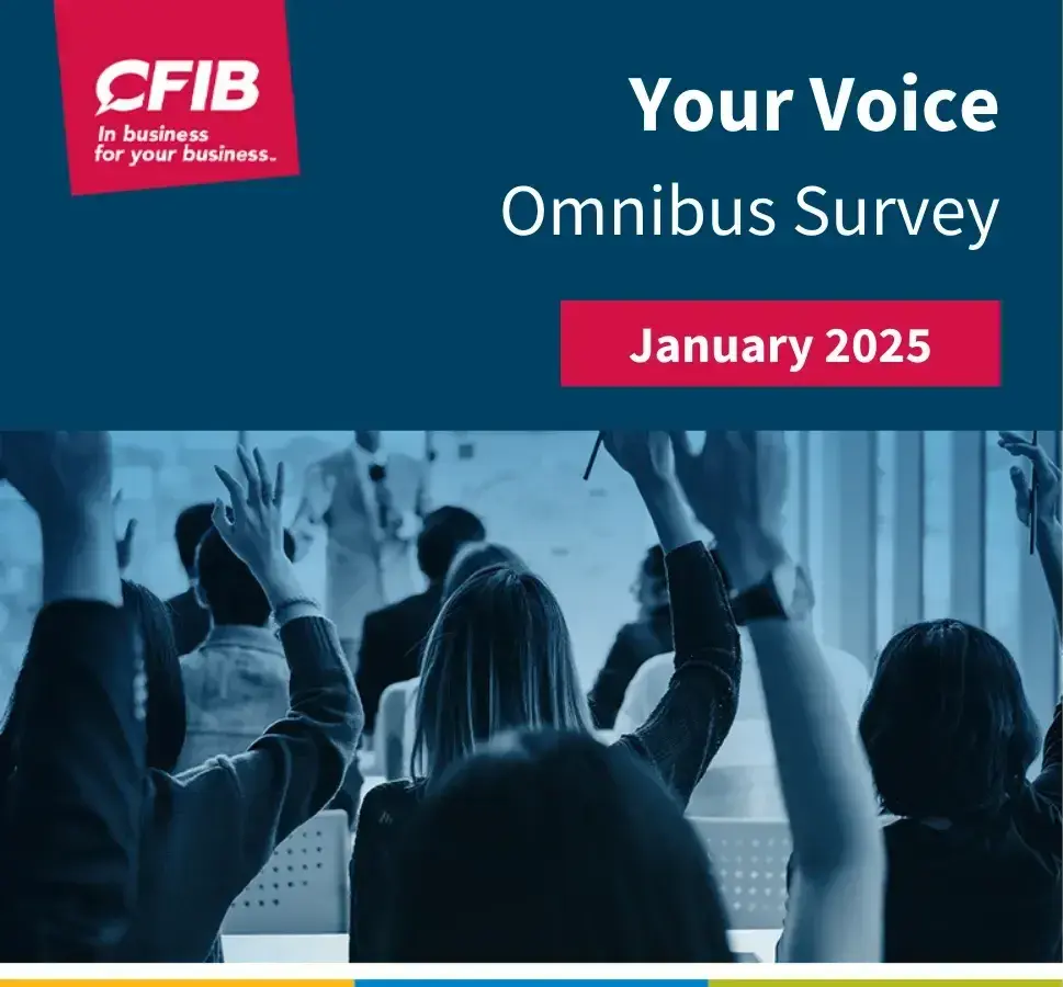 2025-02-omnibus-survey-jan-en-1