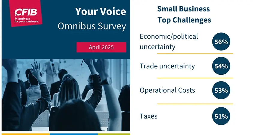 Your Voice Omnibus Survey April 2025