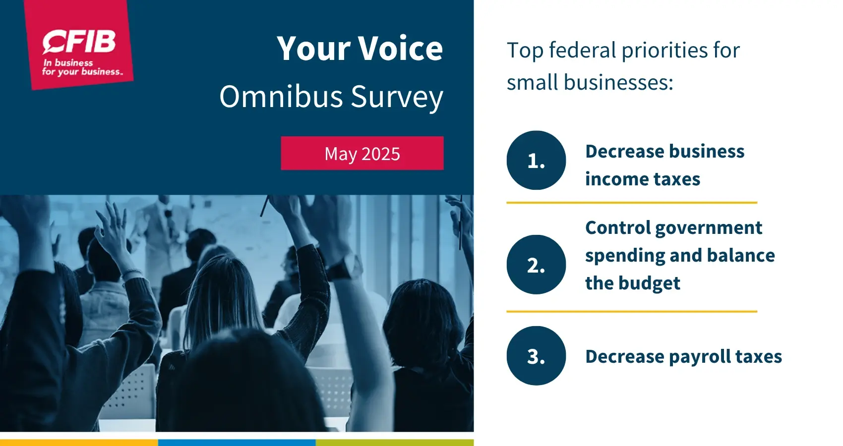 Your Voice Omnibus Survey May 2025