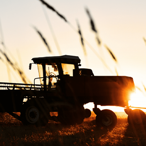 Tractor in wheat field during sunset