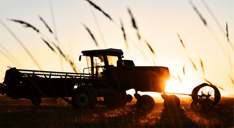 A tractor driving through a wheat field at sunset