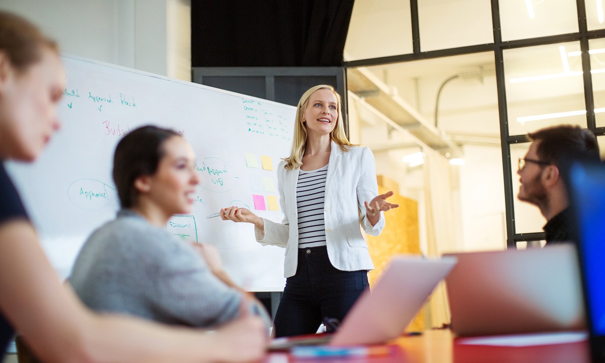 Woman presenting in business meeting