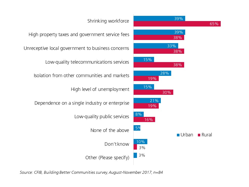 What disadvantages does your business' community have that negatively affect the health of your business?